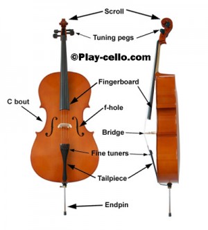 presión Acostado Estación Cello Parts 